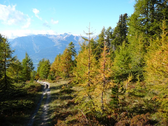 Comparaison de la météo entre octobre 2013 et octobre 2014