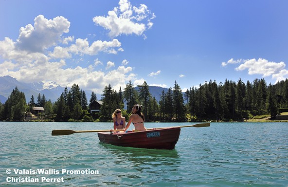 Alpine Destinations & Commercial Strategy