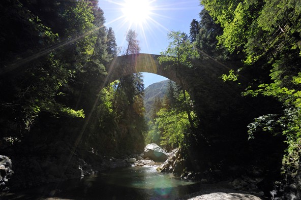 Bedeutung von Naturpärken für den Tourismus – Chancen fürs Wallis?
