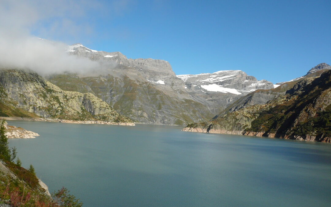 Retour de l’or blanc en Valais