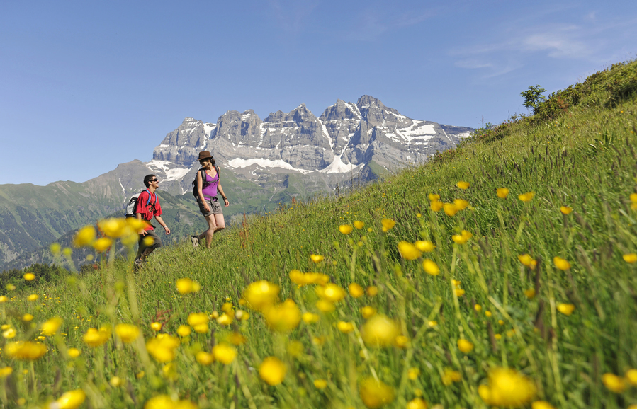 Suisse – Ecotourisme ou tourisme de nature largement sous-estimé et sous-évalué