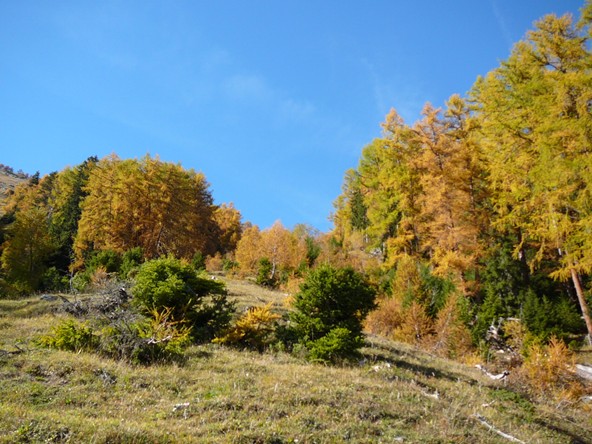 Comparaison de la météo entre novembre 2013 et novembre 2014