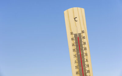2022: Rekordwärme, viel Sonnenschein und Trockenheit