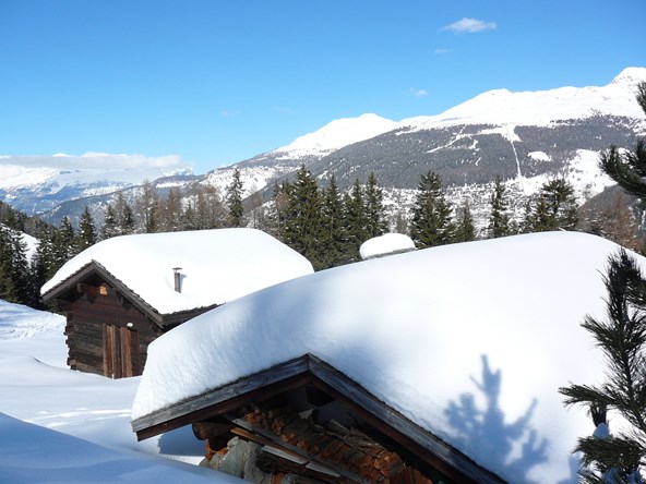 Quantité importante de neige fraîche en 5 jours