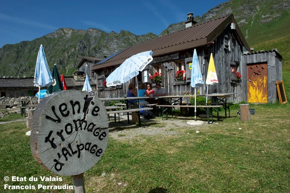 Alpine Destinations & Commercial Strategy