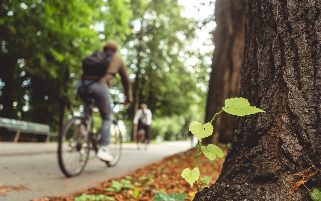 Nouvelles voies pour un tourisme durable : exemples pratiques de la Suisse